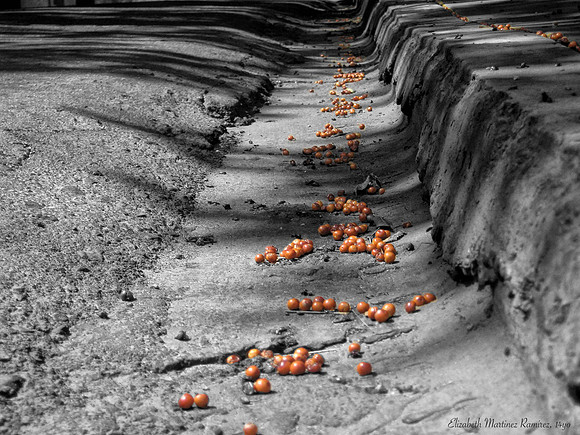 'Just Orange' by Elizabeth
