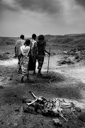 20 livestock remains alive from 300.  This community is starving to death.