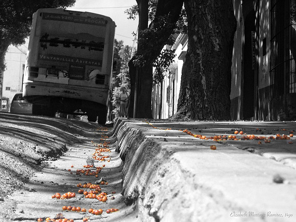 'Orange' by Elizabeth