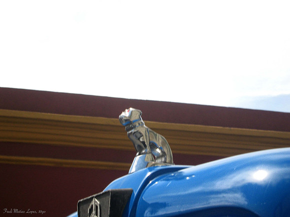 "Mystery Car" by Fredi