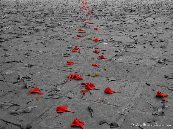 'Red Petals' by Elizabeth