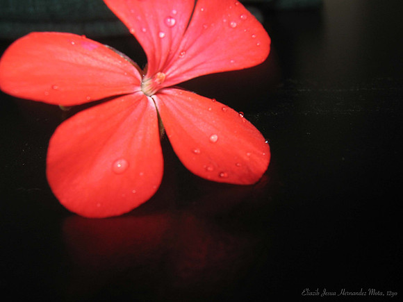 'On Black' by Eliazib