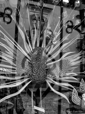 "Peacock" by Fredi