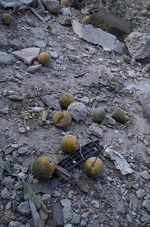 Israel targeted 3 residential buildings in the city of Tyre, Leb