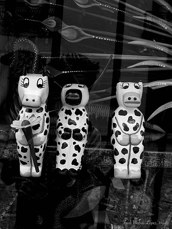 "3 little pigs" by Fredi