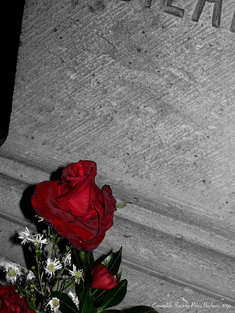"Red Rose" by Esmeralda