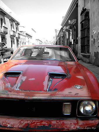 "Dream Car" by Fredi