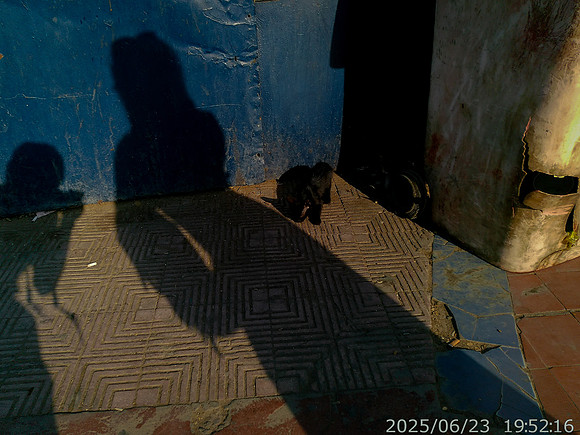 What lies in the dark?