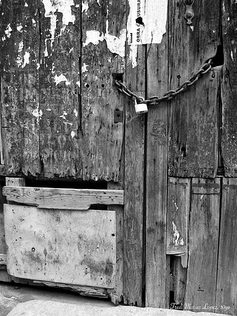 "Front Door" by Fredi