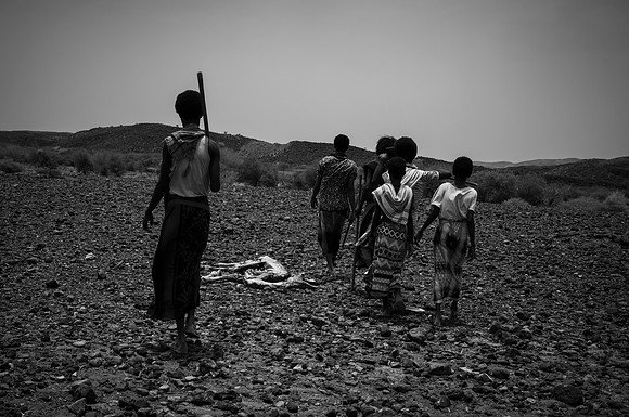 One of the many livestock dead due to incessant drought in the region, a part of the world that barely serves to sustain any form of life